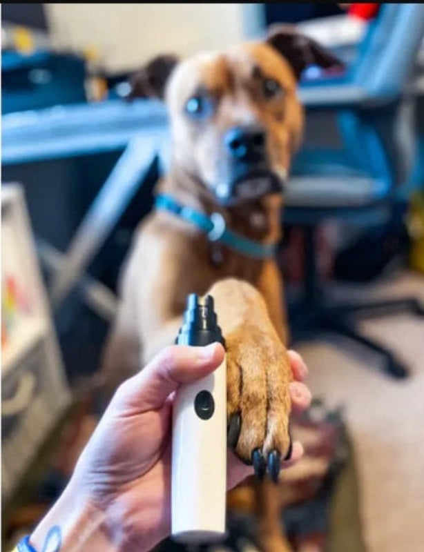 Electric Nail Grinder