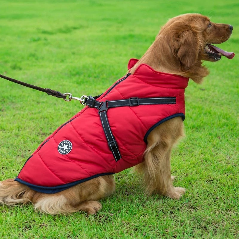 Versatile Dog Winter Jacket