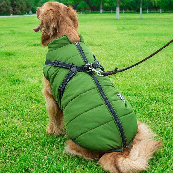 Versatile Dog Winter Jacket