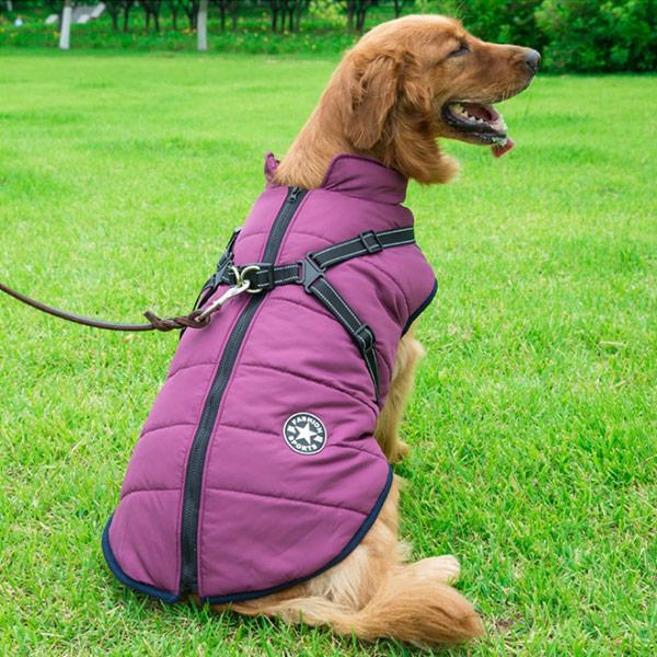 Versatile Dog Winter Jacket