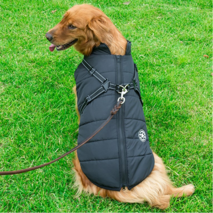 Versatile Dog Winter Jacket