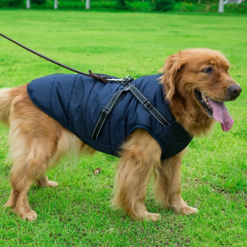 Versatile Dog Winter Jacket