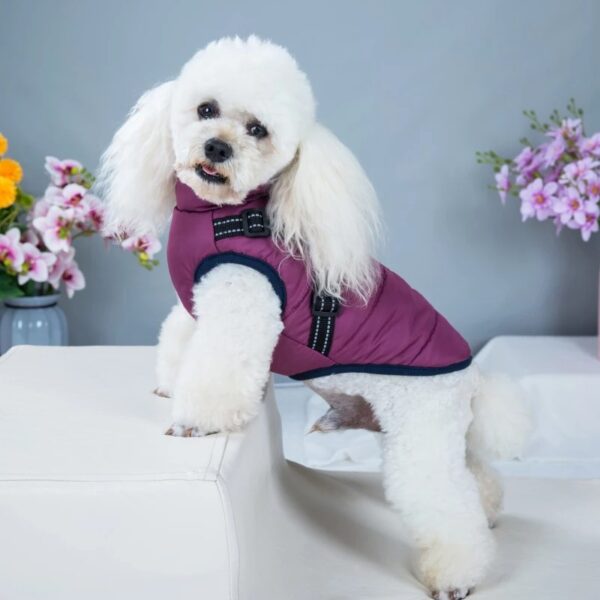 Versatile Dog Winter Jacket